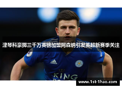 津琴科豪掷三千万英镑加盟阿森纳引发英超新赛季关注 津琴科豪掷三千万英镑加盟阿森纳引发英超新赛季关注